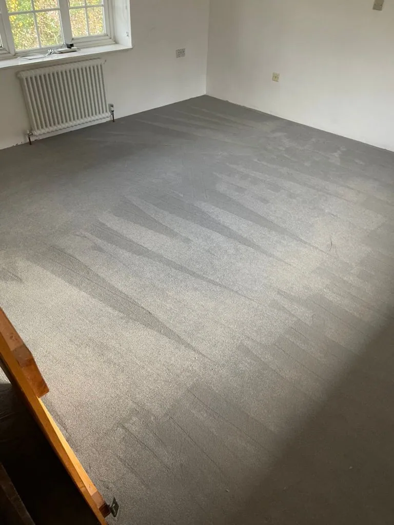 Light grey plush carpet in an empty room with fresh vacuum lines and white walls